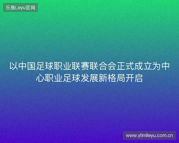 以中国足球职业联赛联合会正式成立为中心职业足球发展新格局开启 以中国足球职业联赛联合会正式成立为中心职业足球发展新格局开启