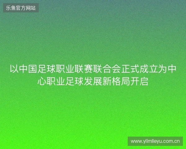 以中国足球职业联赛联合会正式成立为中心职业足球发展新格局开启 以中国足球职业联赛联合会正式成立为中心职业足球发展新格局开启