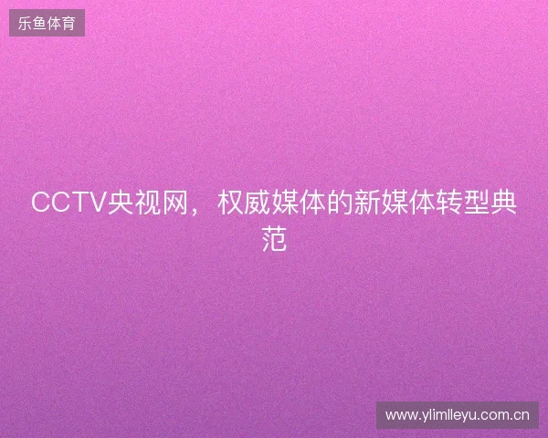 CCTV央视网，权威媒体的新媒体转型典范